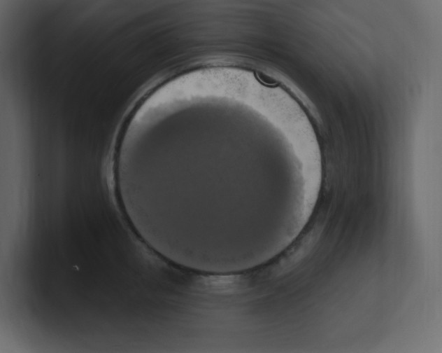 X0000100500853200807111141