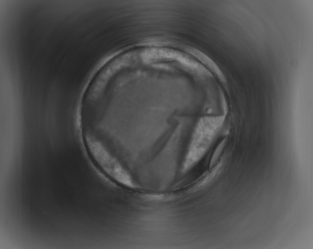 X0000100500855200807111141