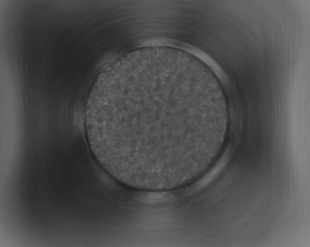 X0000100500857200807111141