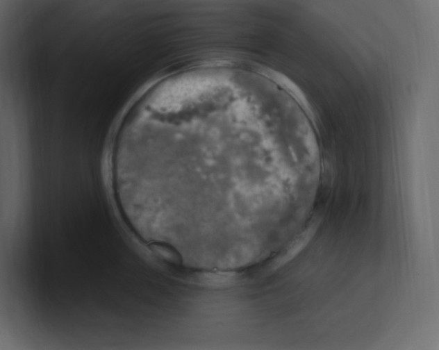 X0000100500859200807111141