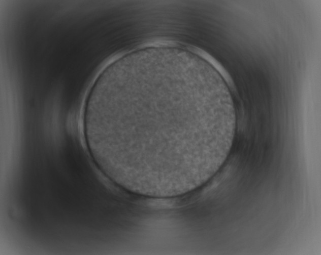 X0000100500861200807111142