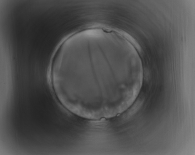 X0000100500863200807111142