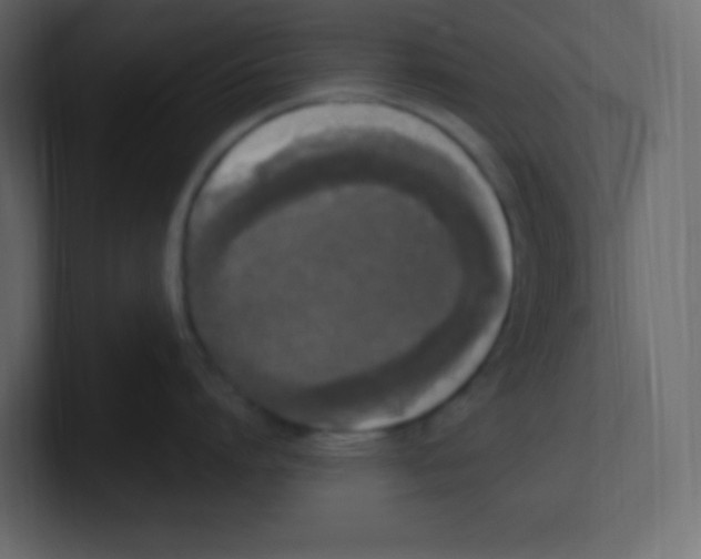 X0000100500864200807111142