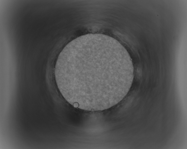 X0000100500865200807111141