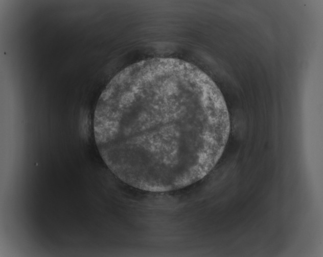 X0000100500866200807111141