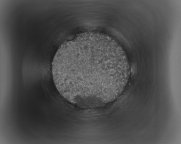 X0000100500867200807111141