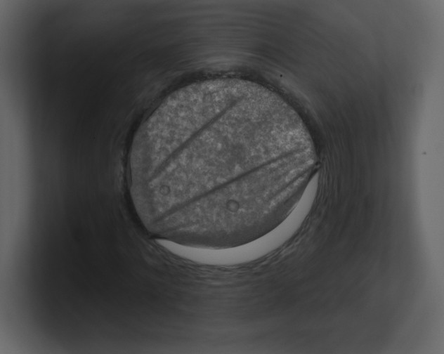 X0000100500868200807111141