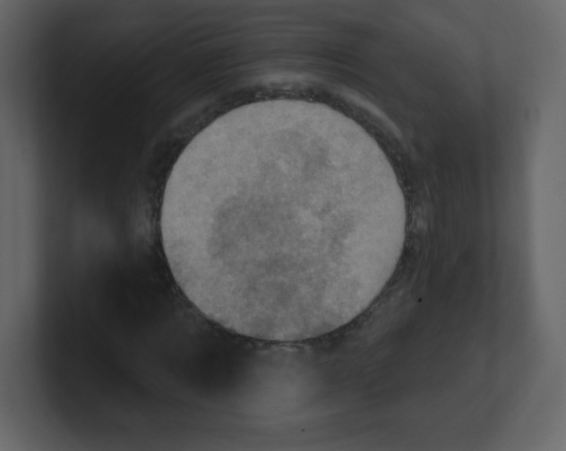 X0000100500869200807111141