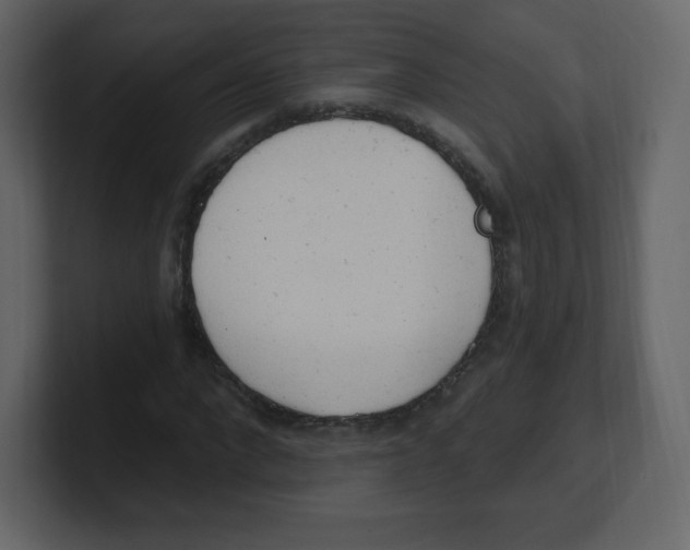 X0000100500872200807111141