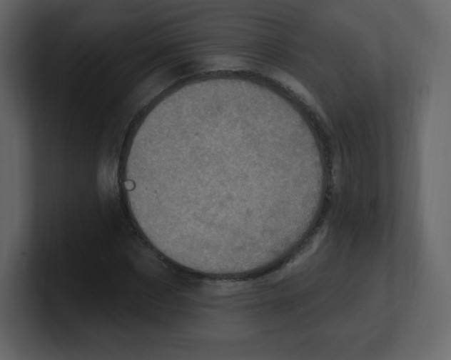 X0000100500873200807111141