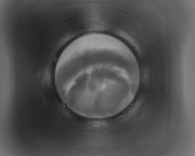 X0000100500874200807111141