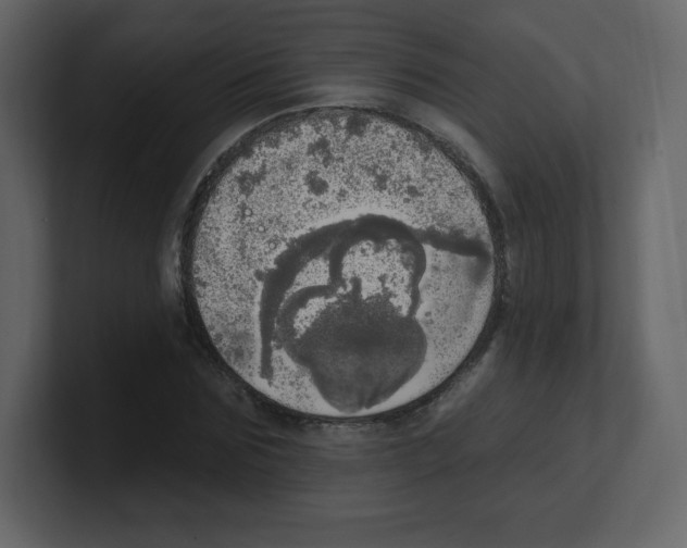 X0000100500875200807111141