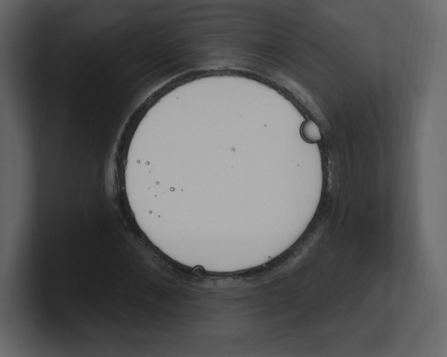 X0000100500876200807111141