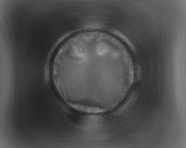 X0000100500878200807111141