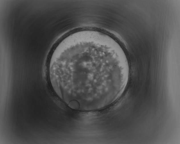 X0000100500879200807111141