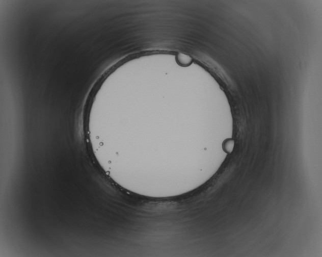 X0000100500884200807111141