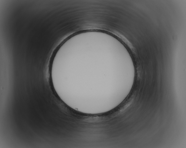 X0000100500885200807111141