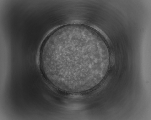 X0000100500886200807111141