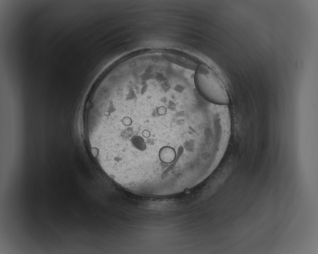 X0000100500887200807111141