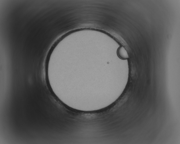 X0000100500888200807111141