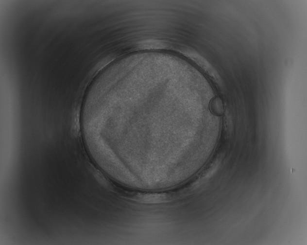 X0000100500889200807111141