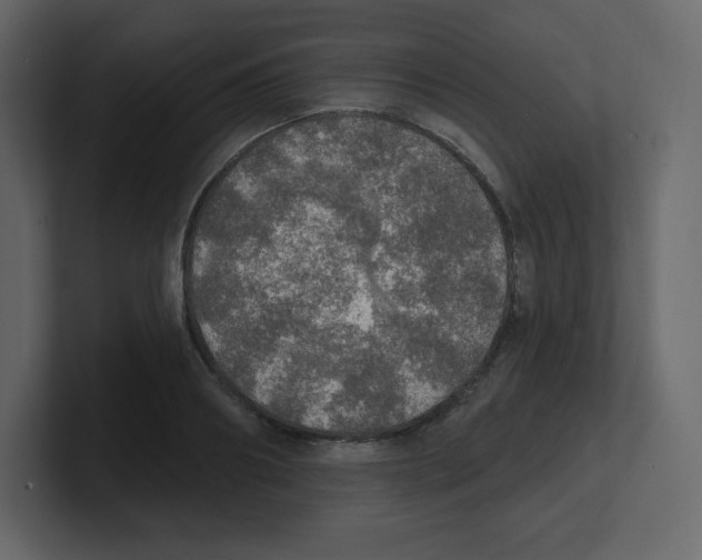 X0000100500890200807111141