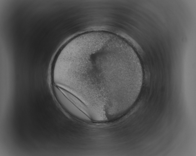 X0000100500894200807111141