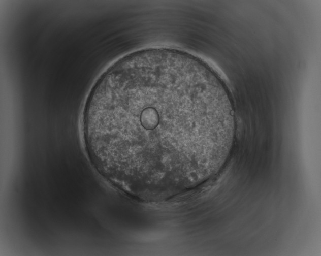 X0000100500895200807111141