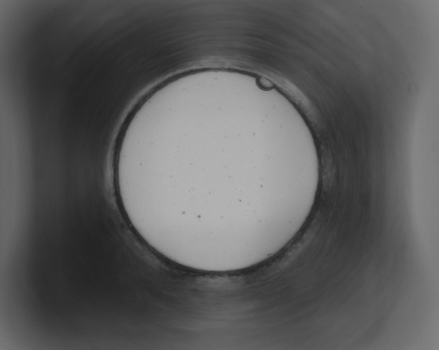 X0000100500896200807111141