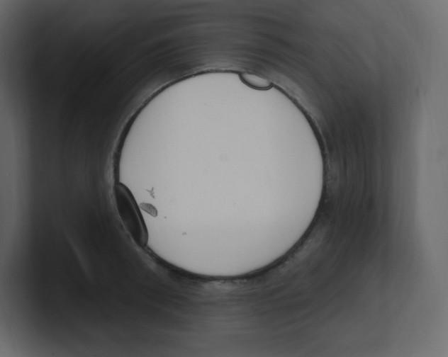 X0000100500898200807111140