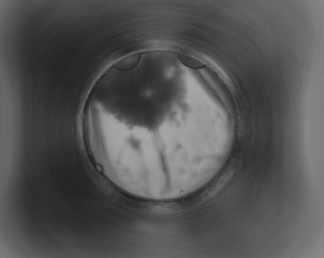 X0000100500899200807111140