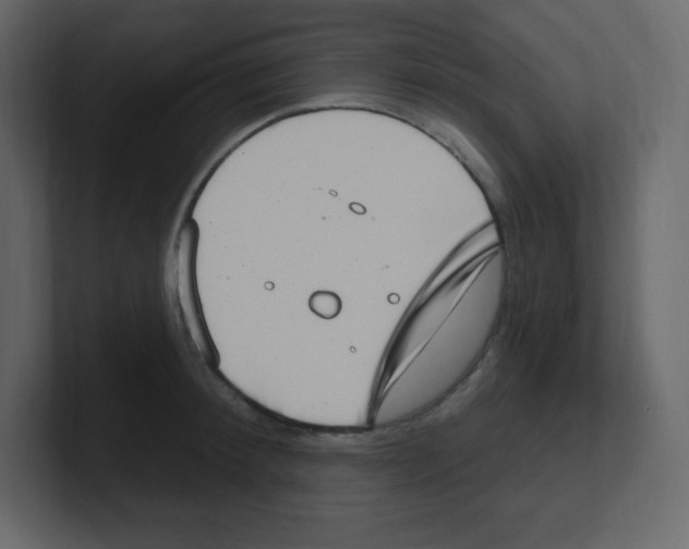 X0000100500900200807111140