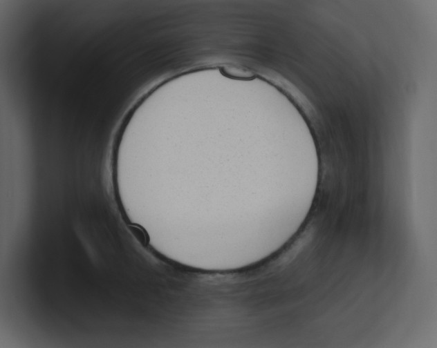 X0000100500902200807111140