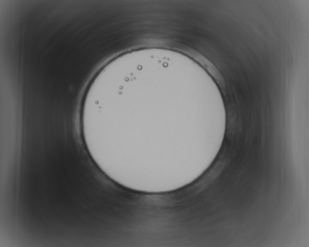 X0000100500904200807111140