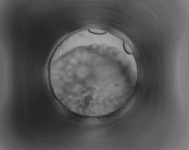 X0000100500907200807111140