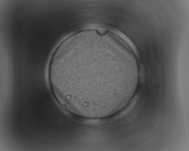 X0000100500909200807111140