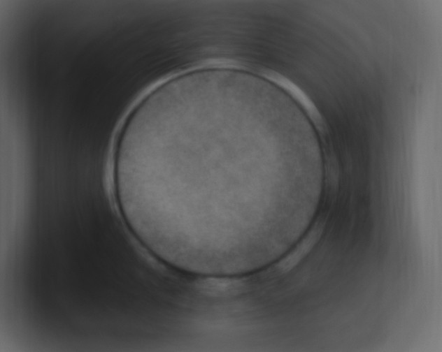 X0000100500910200807111140