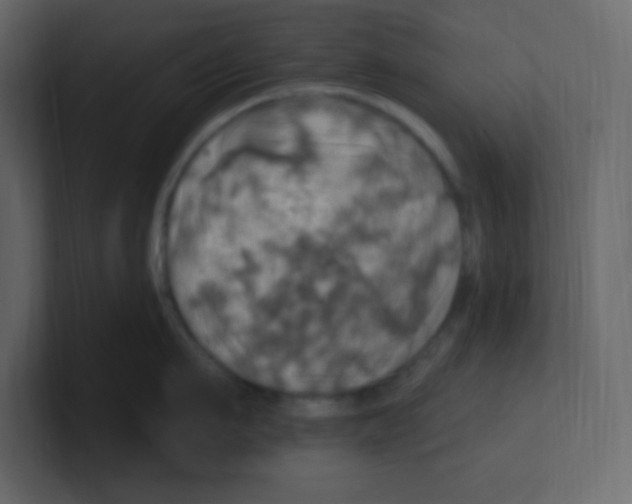 X0000100500911200807111140