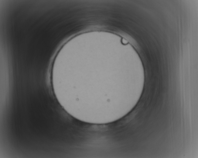 X0000100500912200807111140