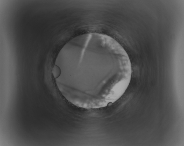 X0000100500913200807111140