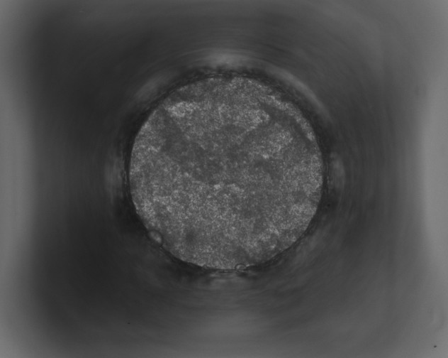 X0000100500918200807111140