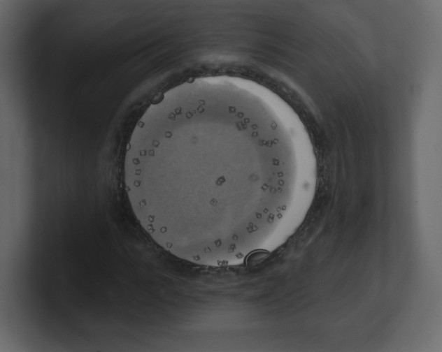 X0000100500919200807111140