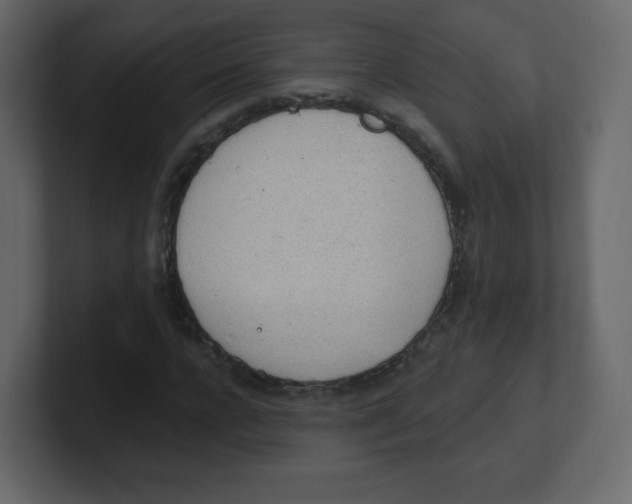 X0000100500920200807111140