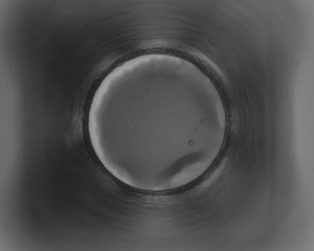 X0000100500921200807111140