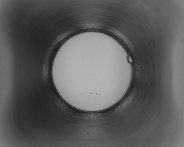 X0000100500922200807111140