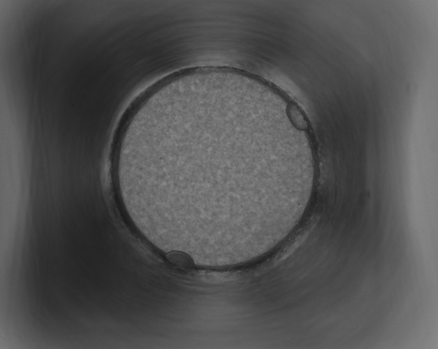 X0000100500928200807111140