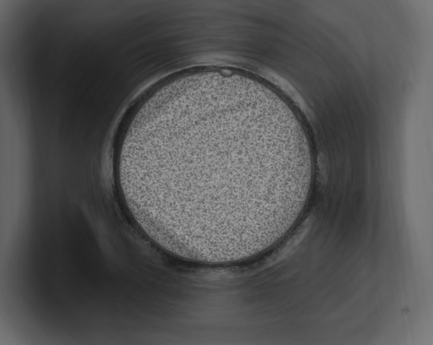 X0000100500931200807111140