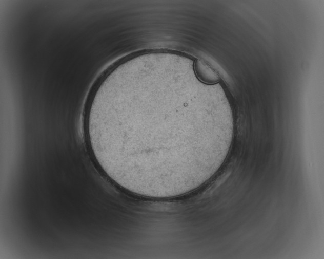 X0000100500932200807111140