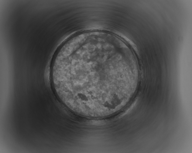 X0000100500933200807111140