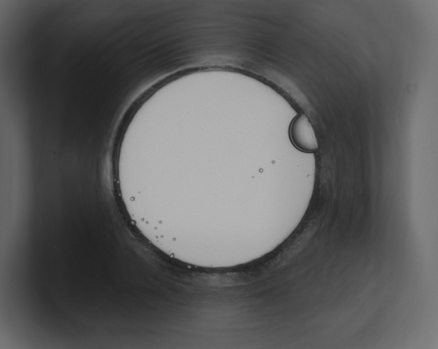 X0000100500936200807111140